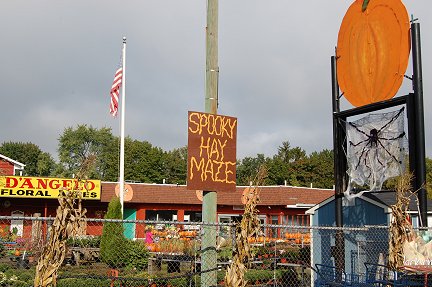 Entrance to D'Angelo Farms