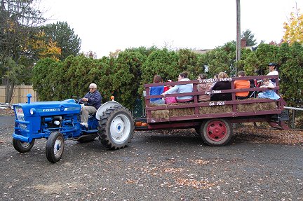 Hayride at D'Angelo Farms in Dumont