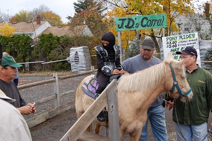 Ninja on a pony