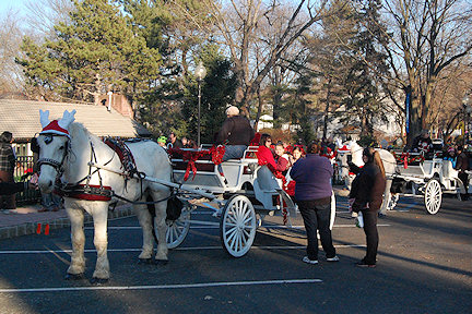 Horse Drawn Wagons