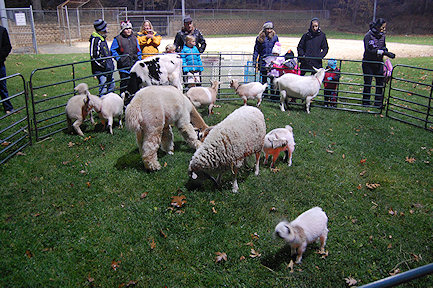 Jack's Petting Zoo